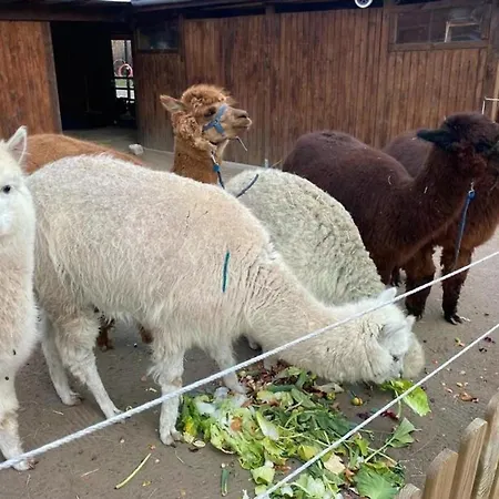 Istzeit Im Gutshof Zum * Klaeden (Altmarkkreis Salzwedel)